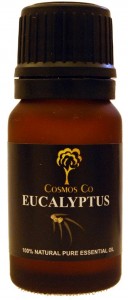 cosmos-co-eucalyptus-olie
